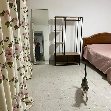 Biancaneve I Suoi Nani Asti