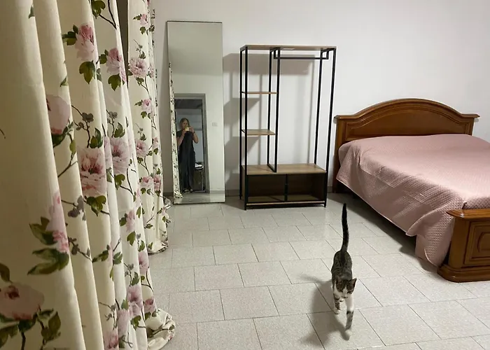 Biancaneve I Suoi Nanni Asti